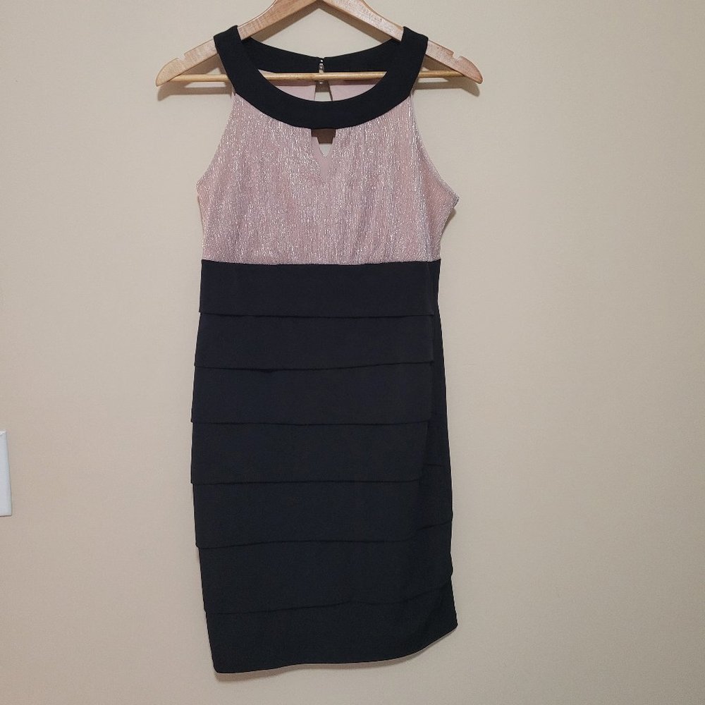 Enfocus Studio Women Dress Pink Sparkle Top Black Pleat Botter, Size 8